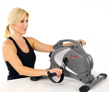mini exercise bike