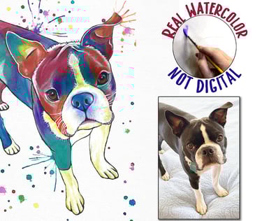 Custom Pet Portraits