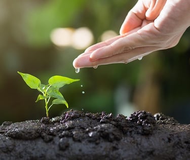 Earth: Rooted in Reality - 8th newsletter edition