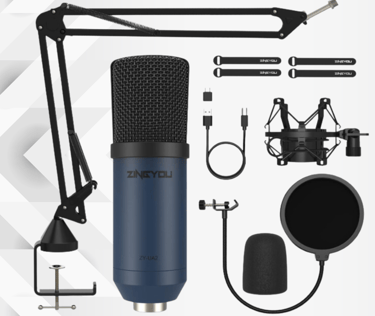a microphone and a microphone with a microphone