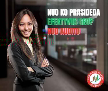 Nuo ko prasideda efektyvus SEO? Nuo audito