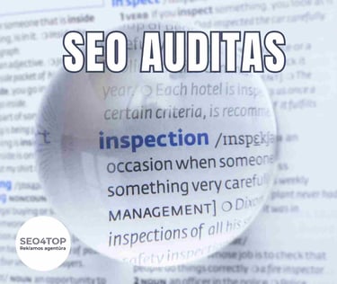 SEO auditas
