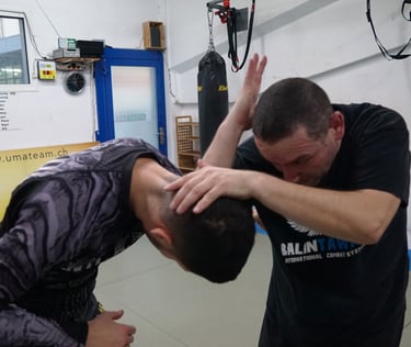 Combat cuentada art martial a main nue