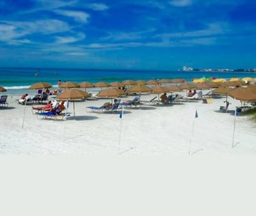 Siesta Key camera