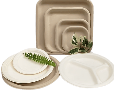a eco friendly disposable plate with a fern leaf on it