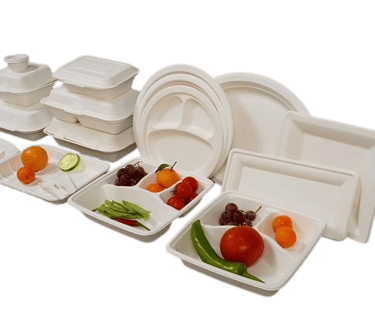 a variety of eco friendly bagasse food containers with fruits and vegetables