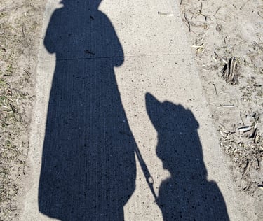 Mensch und Hund in Kommunikation