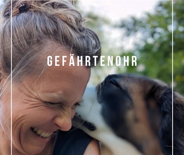 Hund flüstert in Menschen Ohr
