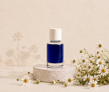 German chamomile flowers beside deep blue German chamomile essential oil