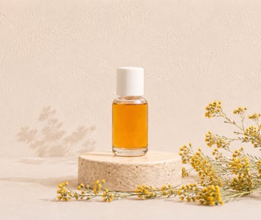 Yellow immortelle flowers beside golden immortelle essential oil