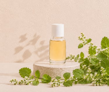 Fresh Melissa officinalis leaves beside melissa essential oil