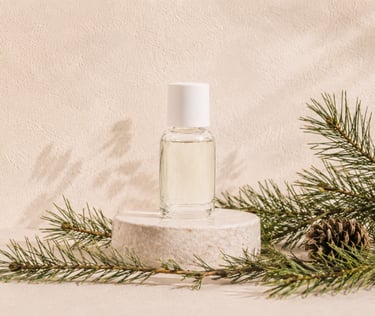Scots pine needles and cones beside pine essential oil