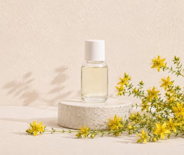 Yellow Hypericum perforatum flowers beside St John's wort essential oil