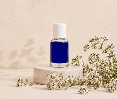 Achillea millefolium flowers beside deep blue yarrow essential oil