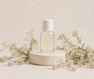 Achillea millefolium flowers beside green yarrow essential oil
