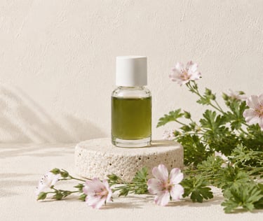 Geranium macrorrhizum leaves and flowers beside Zdravetz essential oil