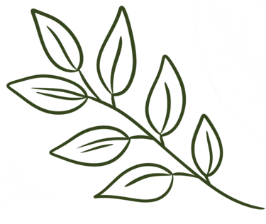 dessin d'une branche avec des feuilles