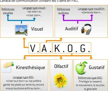 Ecrit en gros : V.A.K.O.G. visuel auditif kinesthésique olfactif gustatif