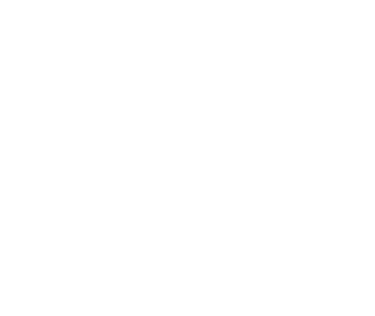 OptiVlak - European experience