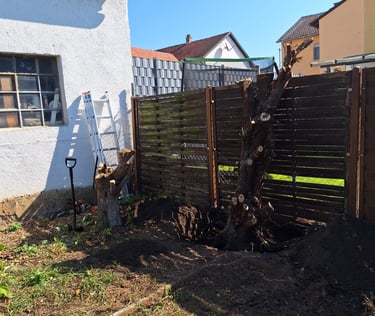 Gartenarbeit Dackenheim, Freinsheim