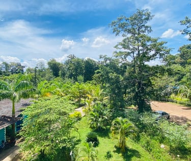 dandeli resort list