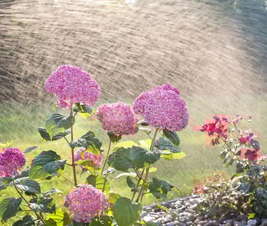 Irrigation repair company