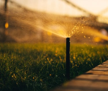 sprinkler winterization company 