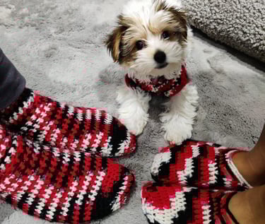 a dog wearing a red and white scarf and socks
