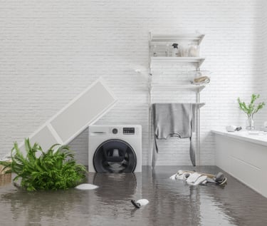 Flooded Room Flood Restoration Assessment for insurance claim