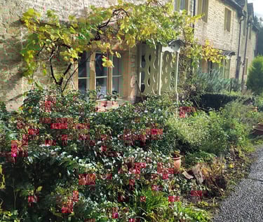 コッツウォルズ穴場 Hidden Cotswolds flowers