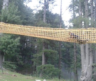 Commando Rope Manufacture SAM Zipline Rope Course
