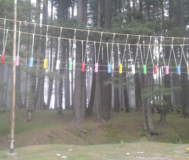 8Sherpa Adventures Camp Install by SAM Zipline Asia