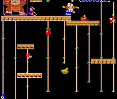 Donkey Kong Junior Ouch!