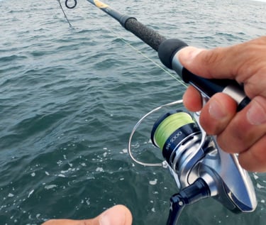 Set the hook sea bass fishing