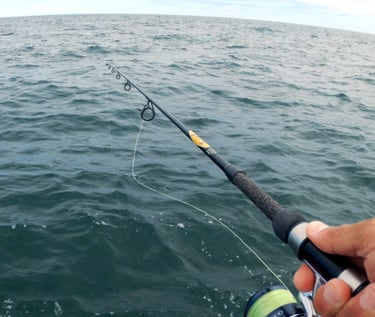Bottom fishing