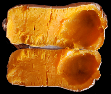 Butternut Squash Cooked