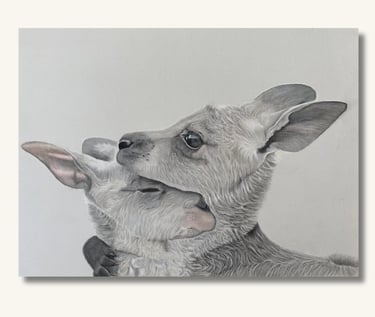 Kangaroo Art