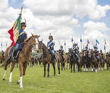 carosello carabinieri