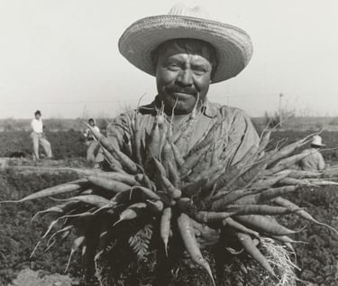 billionaire immigrant taxes