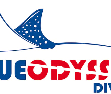 Blue Odyssey Diving