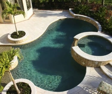 Freeform Curved backyard pool with soft blue water  with stone coping