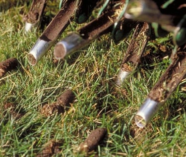 spring aeration 