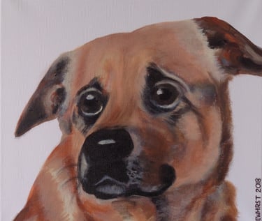 Acrylic on canvas pet portrait 2018, 40.6cm x 40.6cm