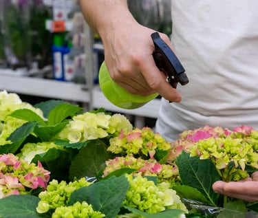 formulación diseño frabricación fertilizantes abonos hormononas pesticidas naturales