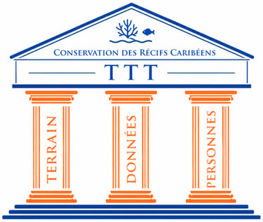 Le terrain, les données et l'humain sont au cœur de l'approche de TTT