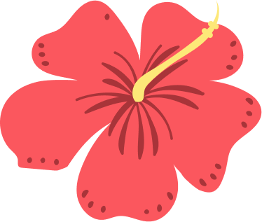 fleur-d-hibiscus
