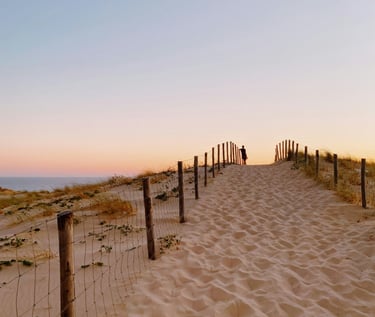 plage ocean cap ferret