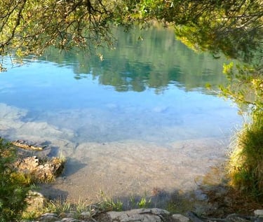 Rive de lac, transparence