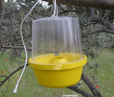piege alimentaire pour mouche de l'olive