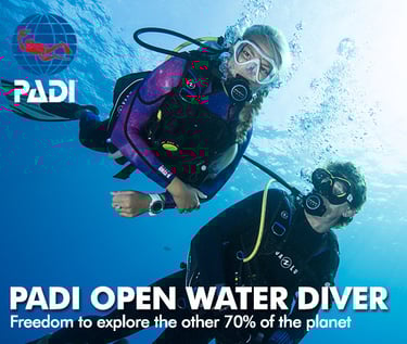 Open Water Diver 